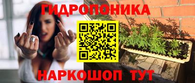 дмт Севастополь