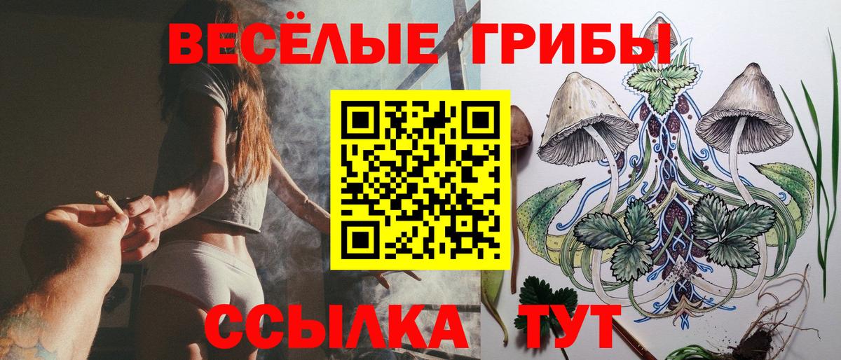 Псилоцибиновые грибы GOLDEN TEACHER Первоуральск