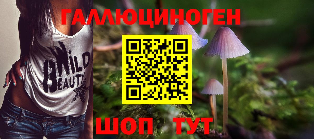 Галлюциногенные грибы Psilocybine cubensis  Псилоцибиновые грибы мухоморы  купить наркотик  Первоуральск  Вход с VPN 